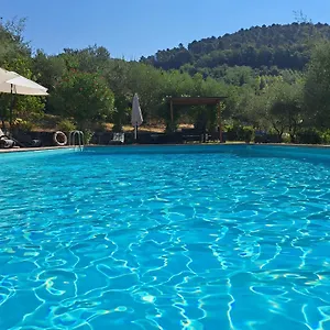 Agriturismo Poggio All'olmo Bauernhof Greve in Chianti
